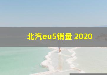 北汽eu5销量 2020